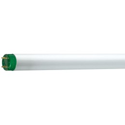 Świetlówka Philips MASTER TL-D Eco G13 T8 16W 60cm 1100lm 3000K