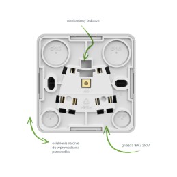 BERG gniazdo natynkowe pojedyncze bez uziemienia 2P IP20 białe | ELEKTRO-PLAST