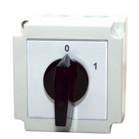 4G10-91-PK R014 – Łącznik Krzywkowy 2-biegunowy 10A IP65 | APATOR
