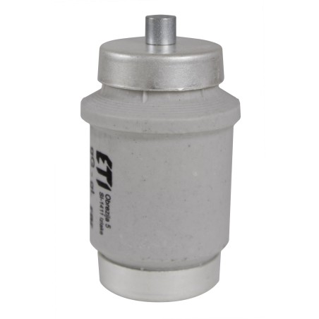 DIV gG 100A/500V Wkładka topikowa zwłoczna | ETI‑POLAM | Elgra Bytom