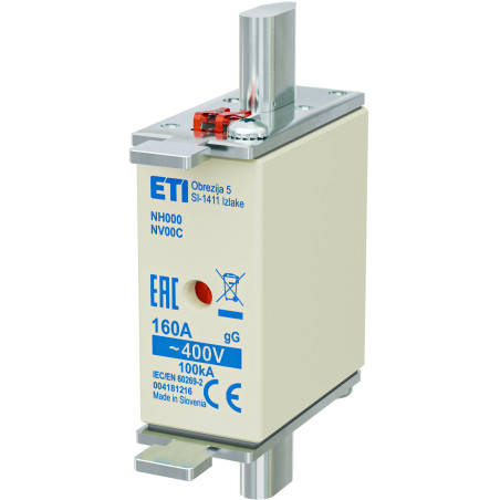 WT-00C/GG 160A WKŁADKA TOPIKOWA ZWŁOCZNA KOMBI [004181216]