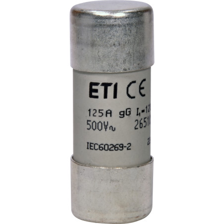 Wkładka topikowa cylindryczna CH22x58 gG 125A/500V