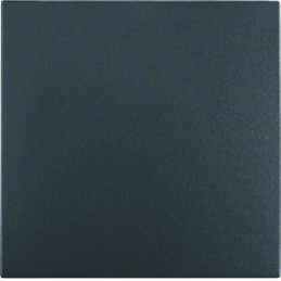 Klawisz B.1/B.3/B.7 Glas antracyt