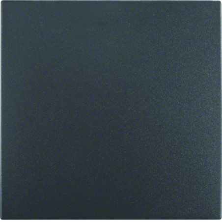 Klawisz B.1/B.3/B.7 Glas antracyt