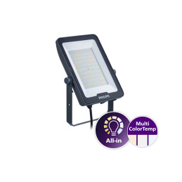 Naświetlacz LED Ledinaire 100W 12000 lm 3000 K, 4000K, 6500K IP65 BVP169 Philips