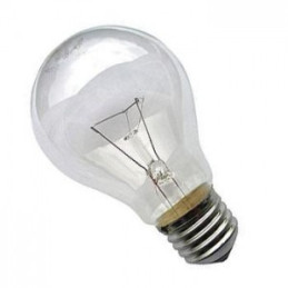 Żarówka wysokotemperaturowa Soleo, 200W, 230V, E27,A65, 2700K, 1000 h, klasa energetyczna E