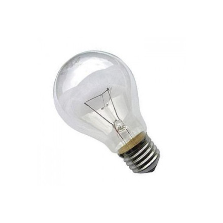 Żarówka wysokotemperaturowa Soleo, 200W, 230V, E27,A65, 2700K, 1000 h, klasa energetyczna E