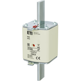 Wkładka topikowa NH2/WT-2 gF 315A/500V 004139412