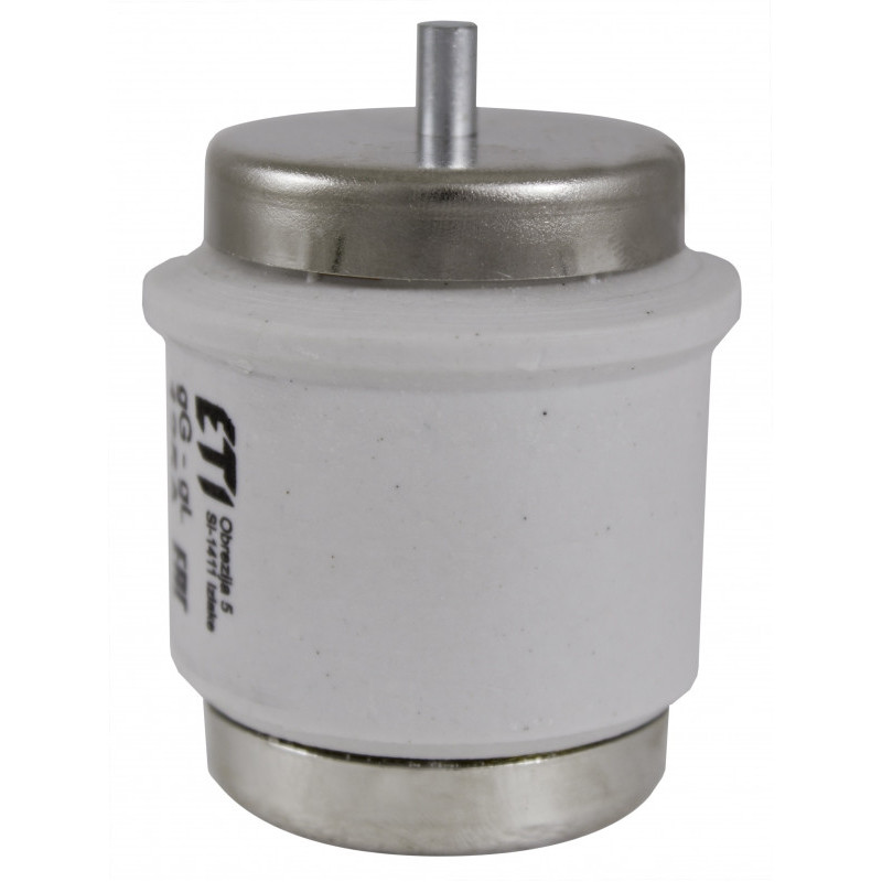 DV gF 125A/500V Wkładka topikowa szybka