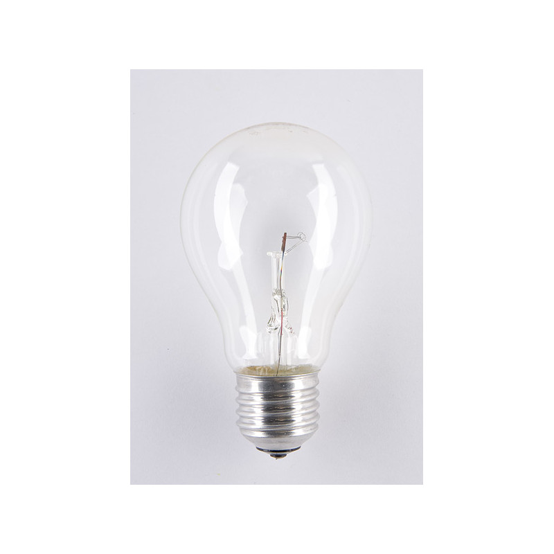 Żarówka wysokotemperaturowa soleo 60W A55 E27 24V