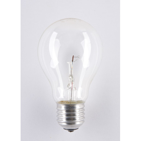 Żarówka wysokotemperaturowa soleo 60W A55 E27 24V