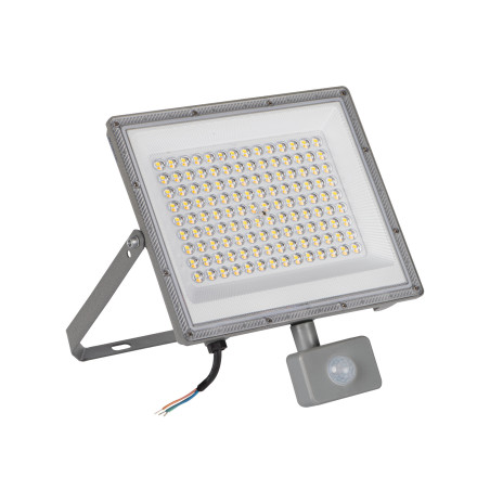 Naświetlacz LED ACETE 100W CCT SE GR z czujnikiem ruchu PIR 3000/4000/6500K szary IP44 38499