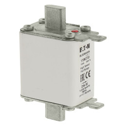 Wkładka topikowa szybka gR 100A 690V NH00 170M2700